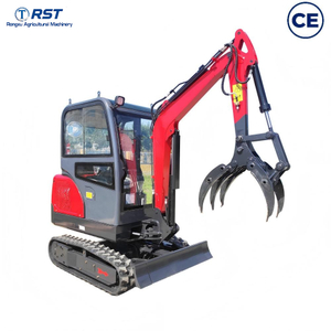 RST22Small Excavator